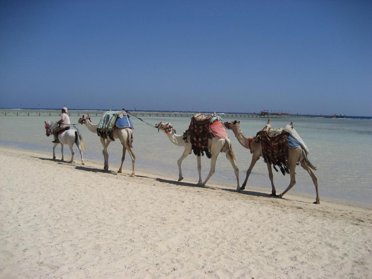 Bliss Marina Beach Resort Marsa Alam Exterior photo